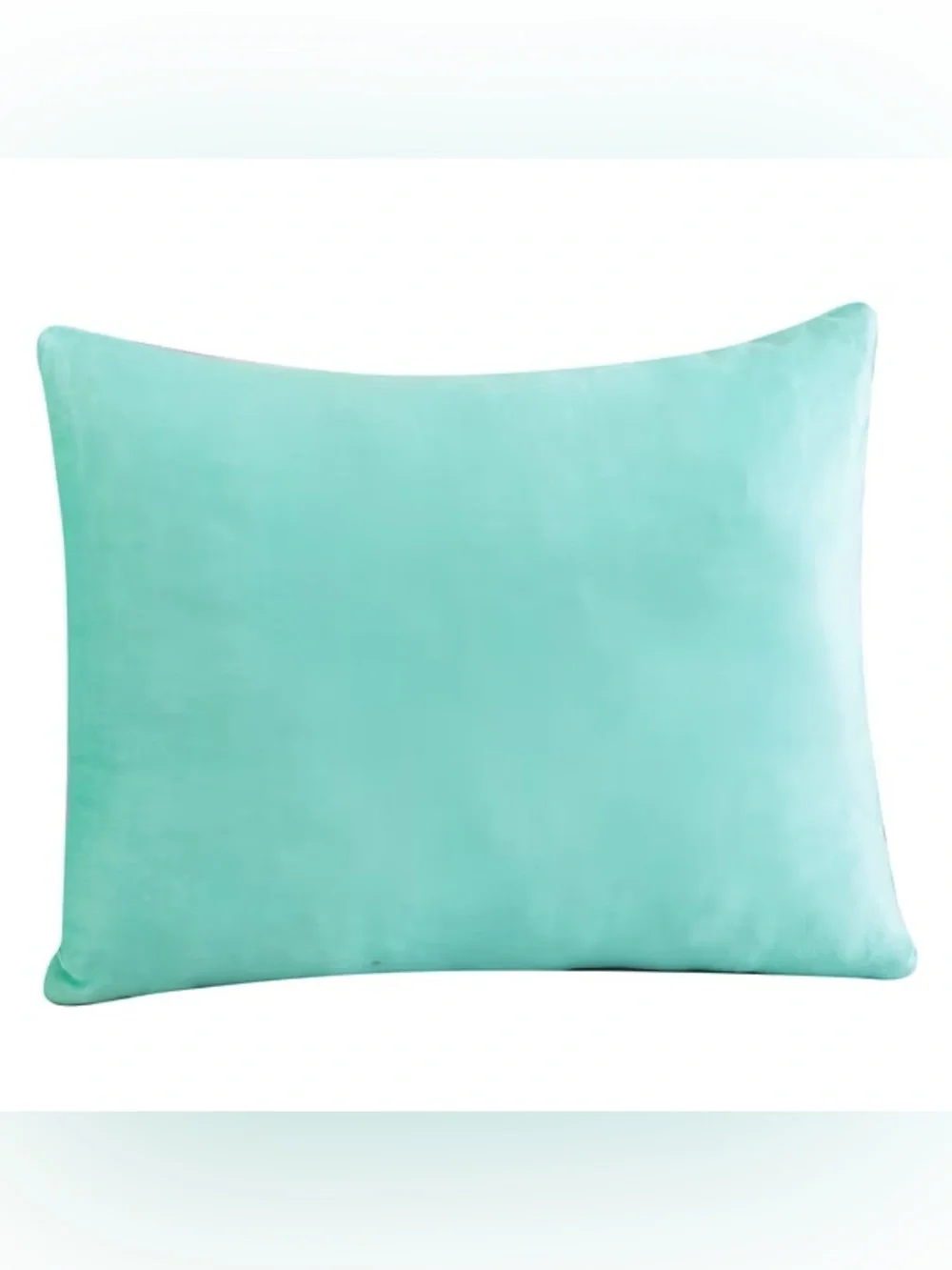 Peanuts Licensed 2-Pack Cloud Plush Pillow Set
